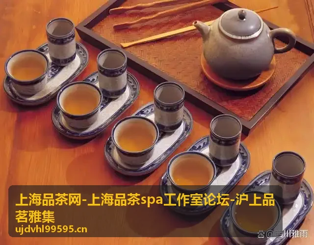 上海品茶雅集夏日冷泡茶分享会